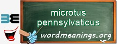 WordMeaning blackboard for microtus pennsylvaticus